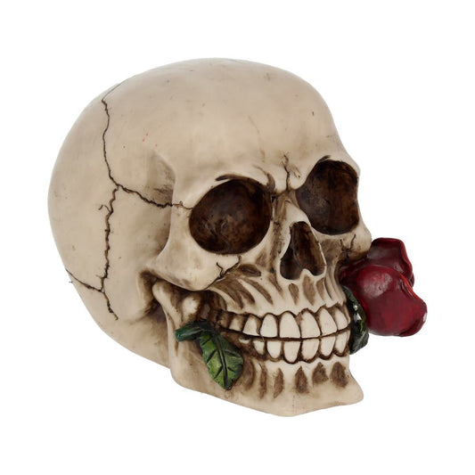 Rose From the Dead Skull Ornament 15cm 1