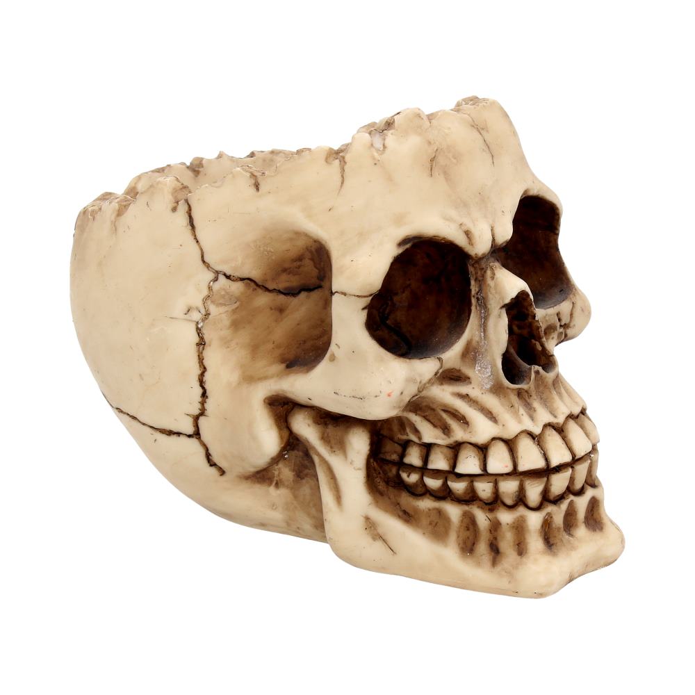 Lobo Skull Ornament 14.5cm 1