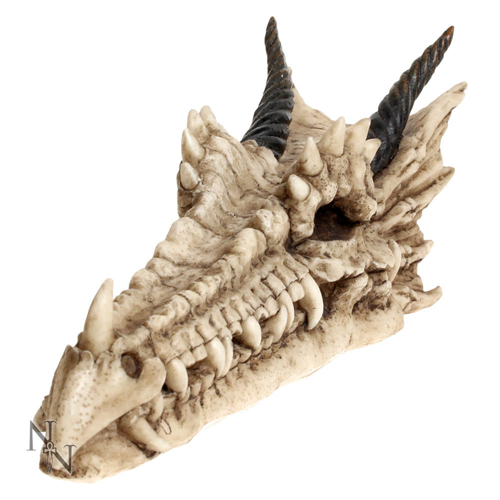 Draco Dragon Skull Incense Holder 24cm 1