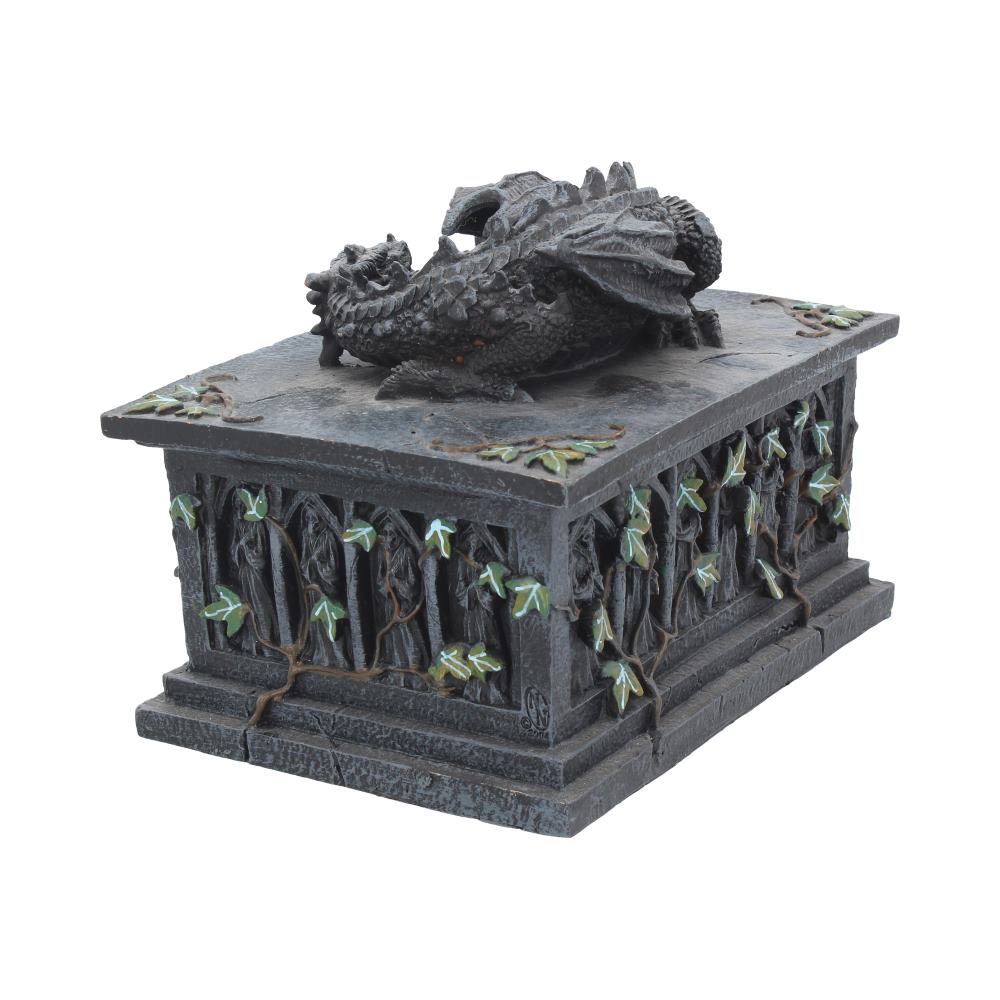Dragon Ivy Tarot Card Holder Box 18cm 3
