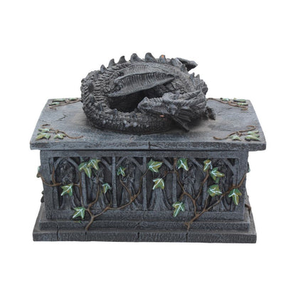 Dragon Ivy Tarot Card Holder Box 18cm 1