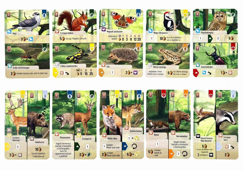 Forest Shuffle Woodland Edge Card Game Expansion