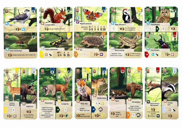 Forest Shuffle Woodland Edge Card Game Expansion by Lookout Spiele