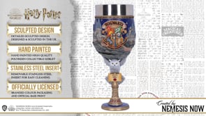 Harry Potter Hogwarts School of Witchcraft and Wizardry Collectible Goblet 19.5cm 8