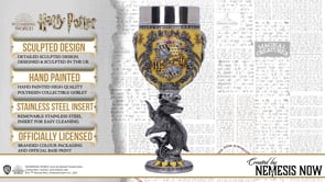 Harry Potter Hufflepuff Hogwarts House Collectible Goblet 19.5cm Drinking Mug 7