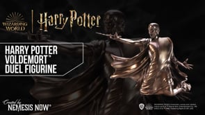 Harry Potter Voldemort Avada Kedavra Duel Bronze Figurine 32cm Officially Licensed 8
