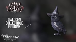 Owlocen Witches Hat Occult Owl Figurine 13.5cm 8