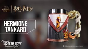 Harry Potter Hermione in Uniform Collectible Tankard 15.5cm 8