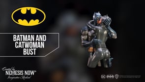 Batman Catwoman DC Collectible Bust 30cm 10