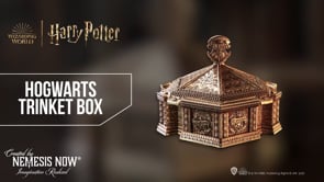 Harry Potter Hogwarts Trinket Box in Bronze 18cm 11