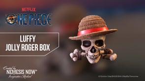 One Piece Luffy Jolly Roger Box 19.5cm 11