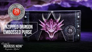Unzipped Dragon Embossed Purse by Anne Stokes 18.5cm 8