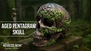 Aged Pentagram Skull 18.8cm 10