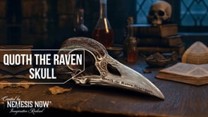 Quoth The Raven 20.2cm Resin Statue 10