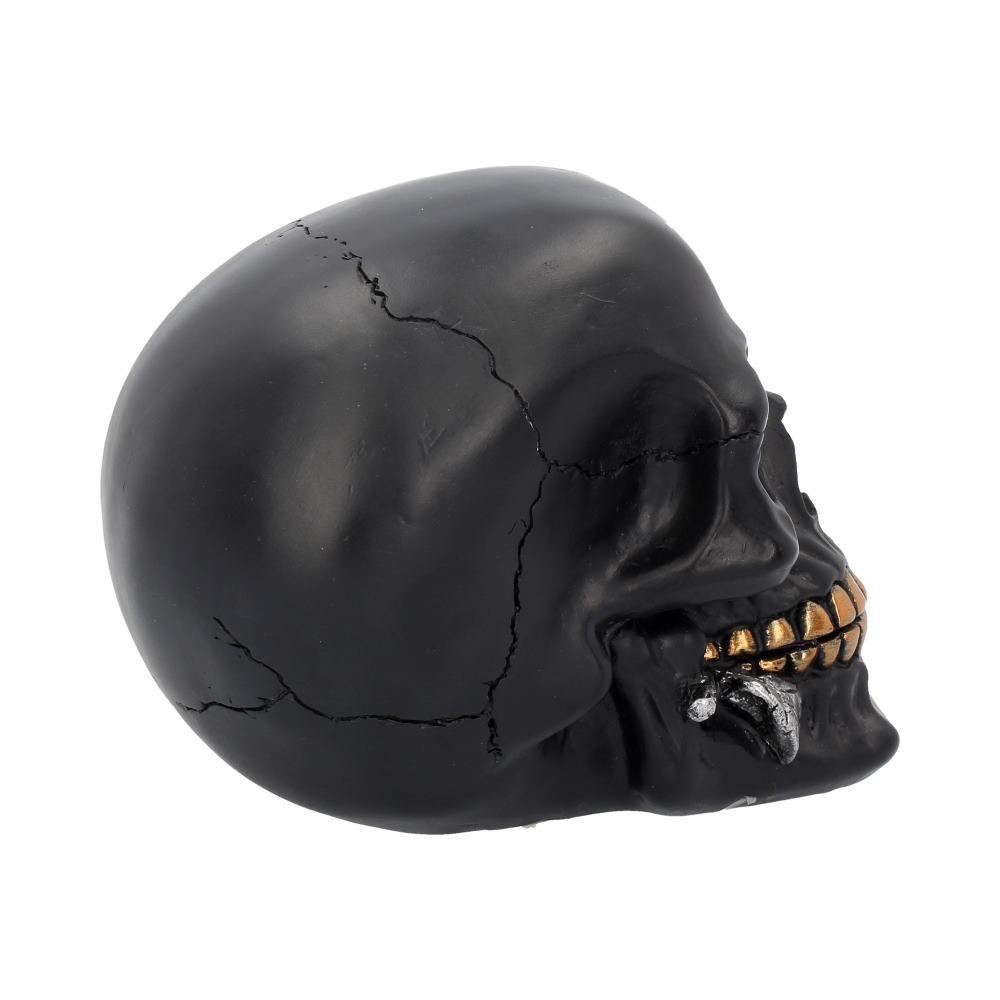 Black Rose from the Dead Skull 15cm 6