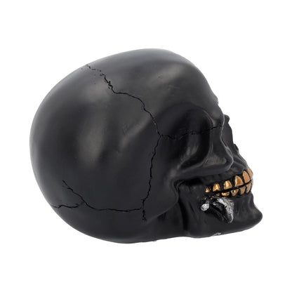 Black Rose from the Dead Skull 15cm 6