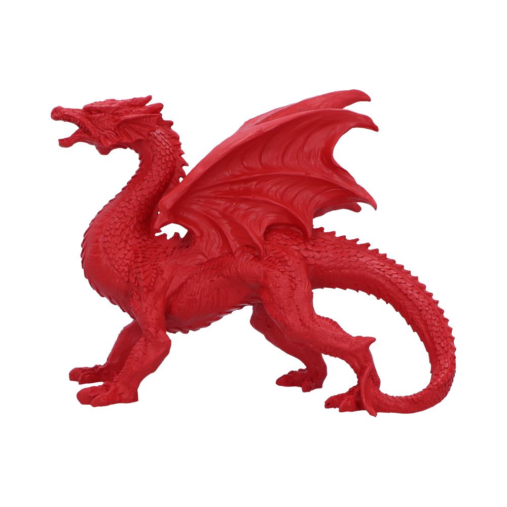 Dragons Honour 31cm 1