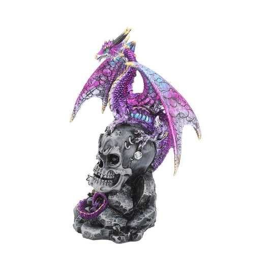 Loyal Defender Figurine Fantasy Gothic Dragon and Skull Ornament 22.5cm 2