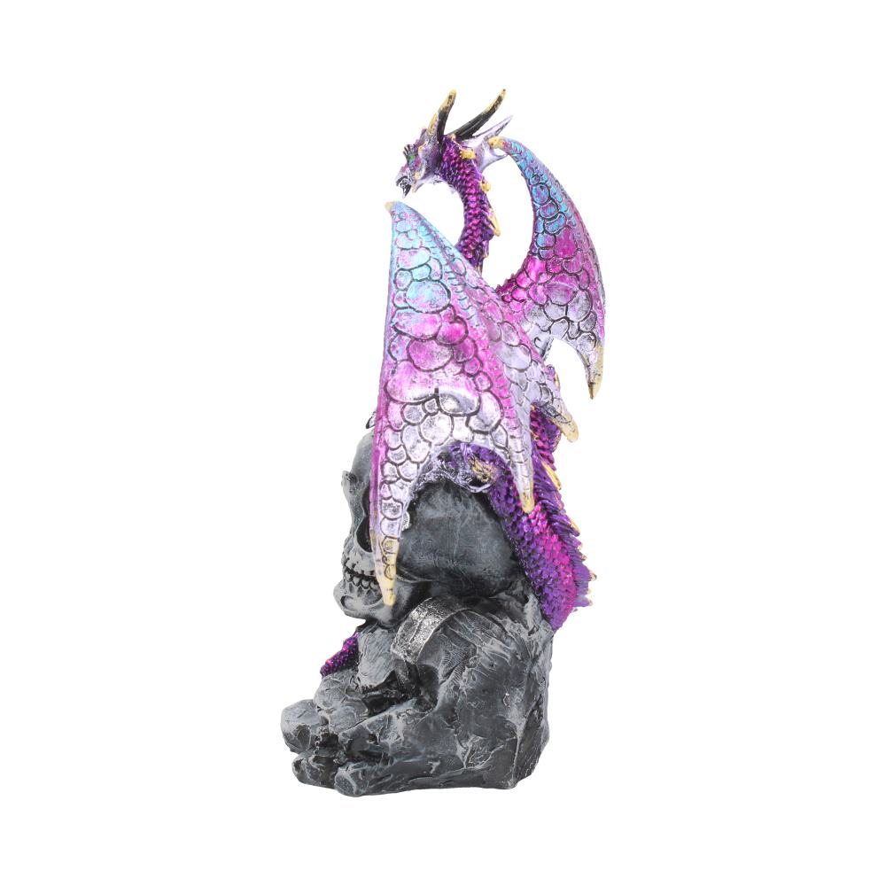 Loyal Defender Figurine Fantasy Gothic Dragon and Skull Ornament 22.5cm 3