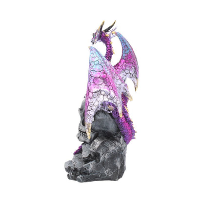 Loyal Defender Figurine Fantasy Gothic Dragon and Skull Ornament 22.5cm 3