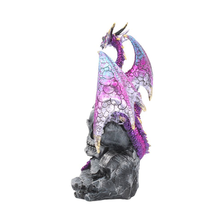 Loyal Defender Figurine Fantasy Gothic Dragon and Skull Ornament 22.5cm