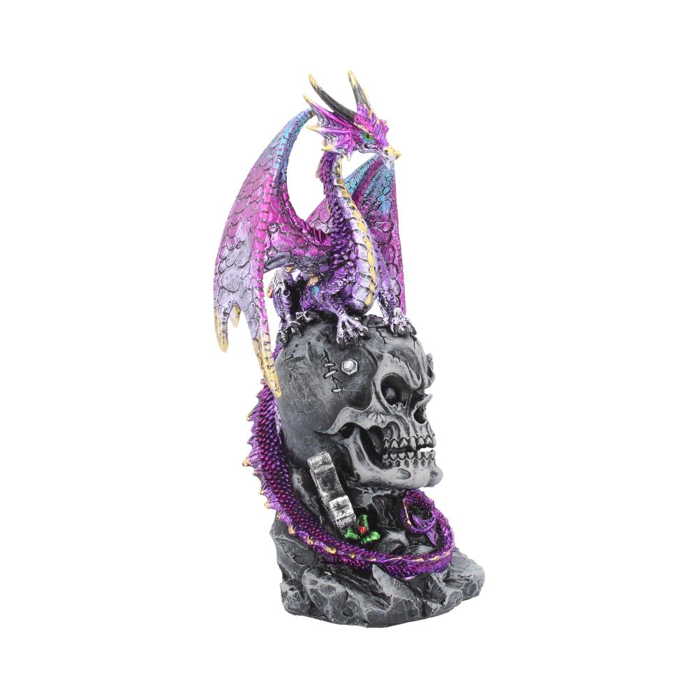 Loyal Defender Figurine Fantasy Gothic Dragon and Skull Ornament 22.5cm 6