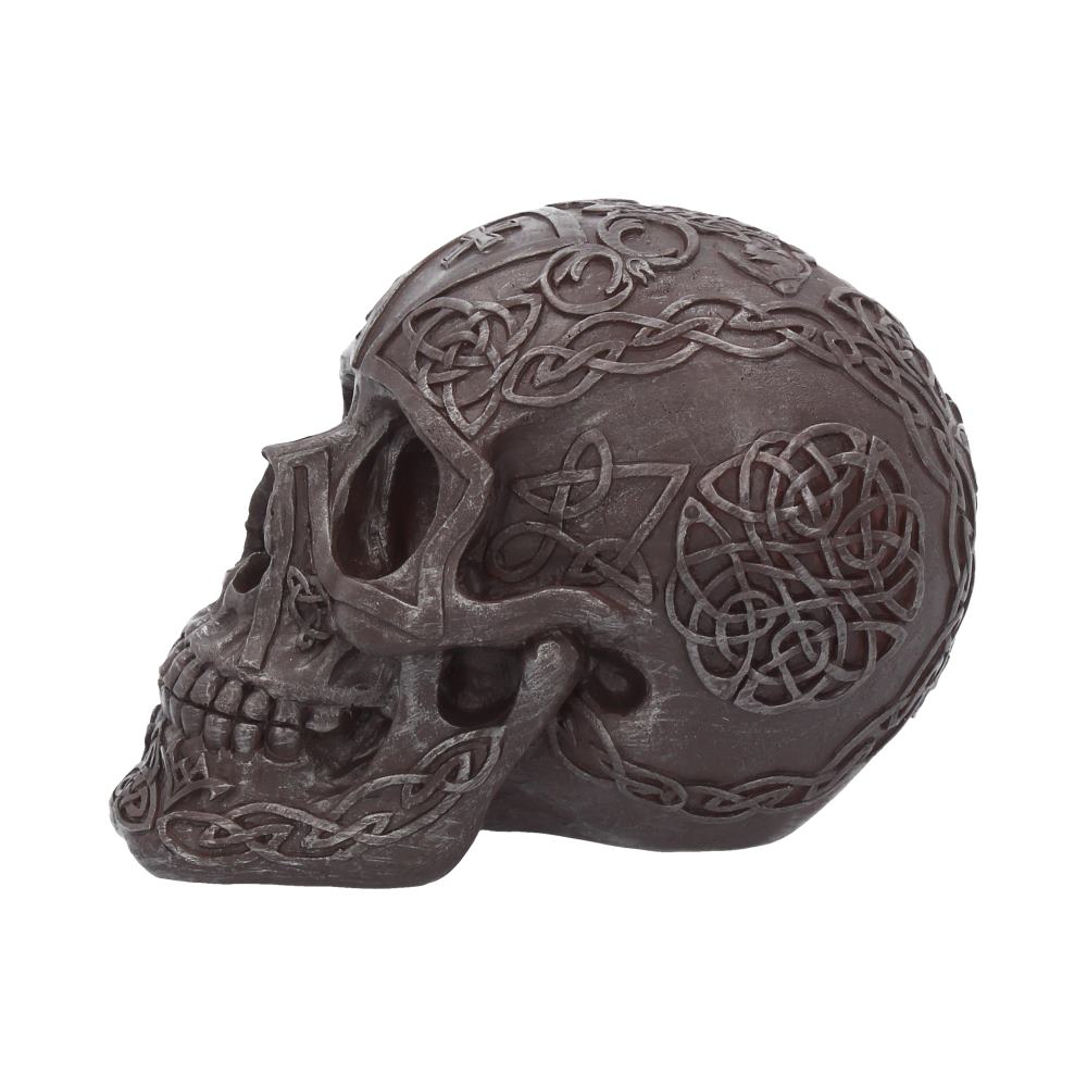 Celtic Iron Skull 16cm Polyresin Statue 3