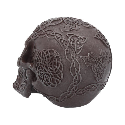 Celtic Iron Skull 16cm Polyresin Statue 4