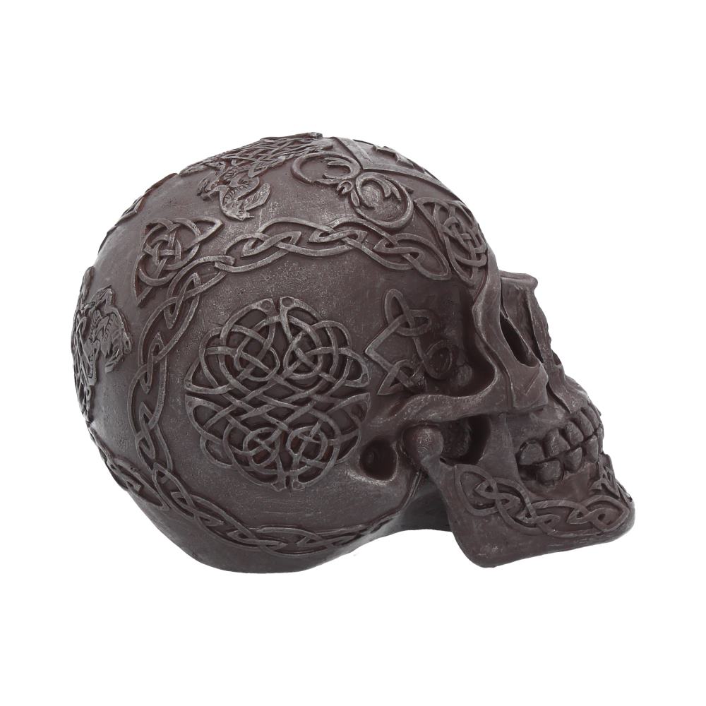 Celtic Iron Skull 16cm Polyresin Statue 6
