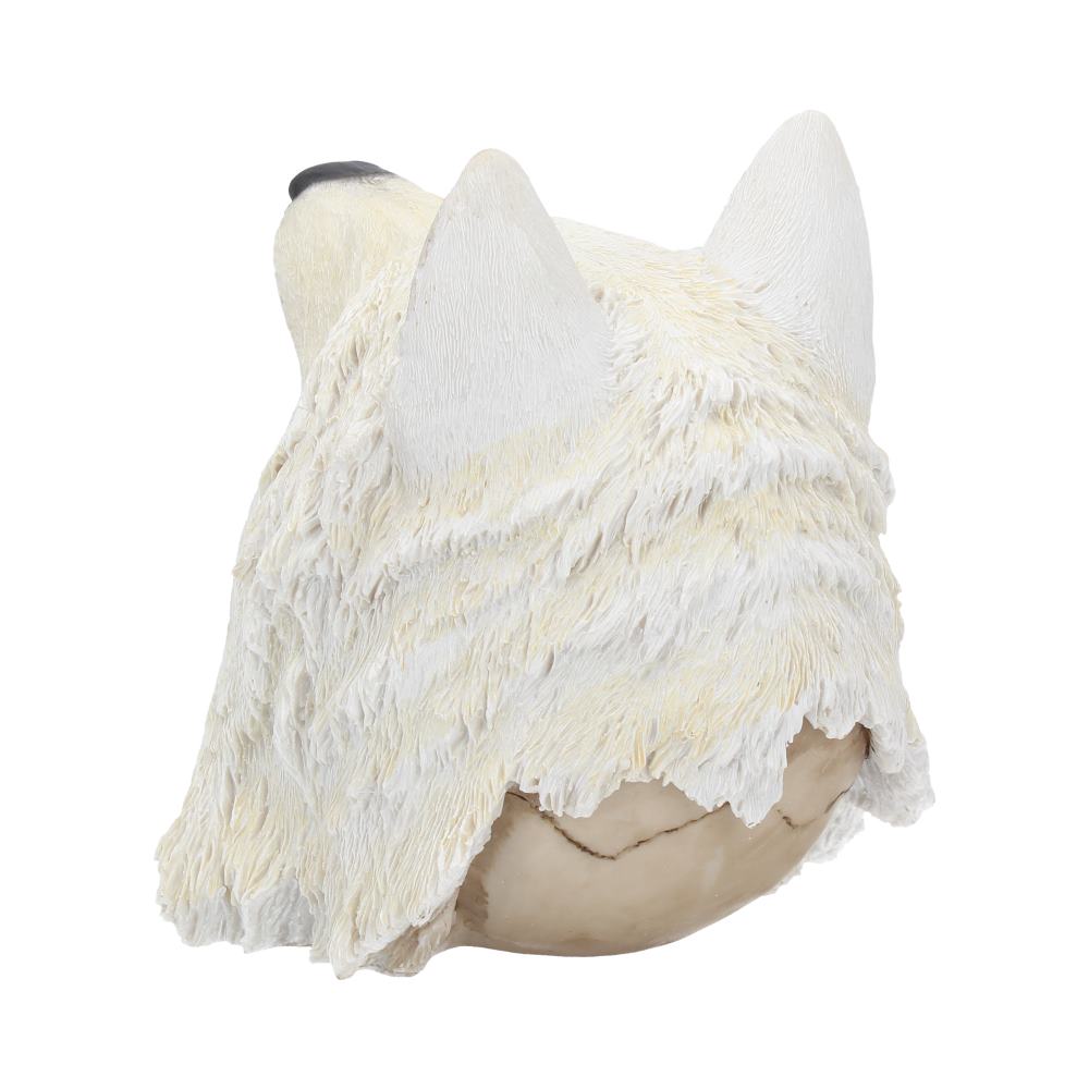 Night Wolf Skull 15.6cm Resin Figure 4