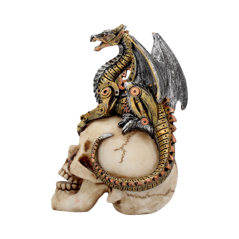 Dragons Grasp Steampunk Skull and Dragon 18.5cm