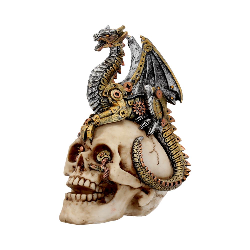 Dragons Grasp Steampunk Skull and Dragon 18.5cm