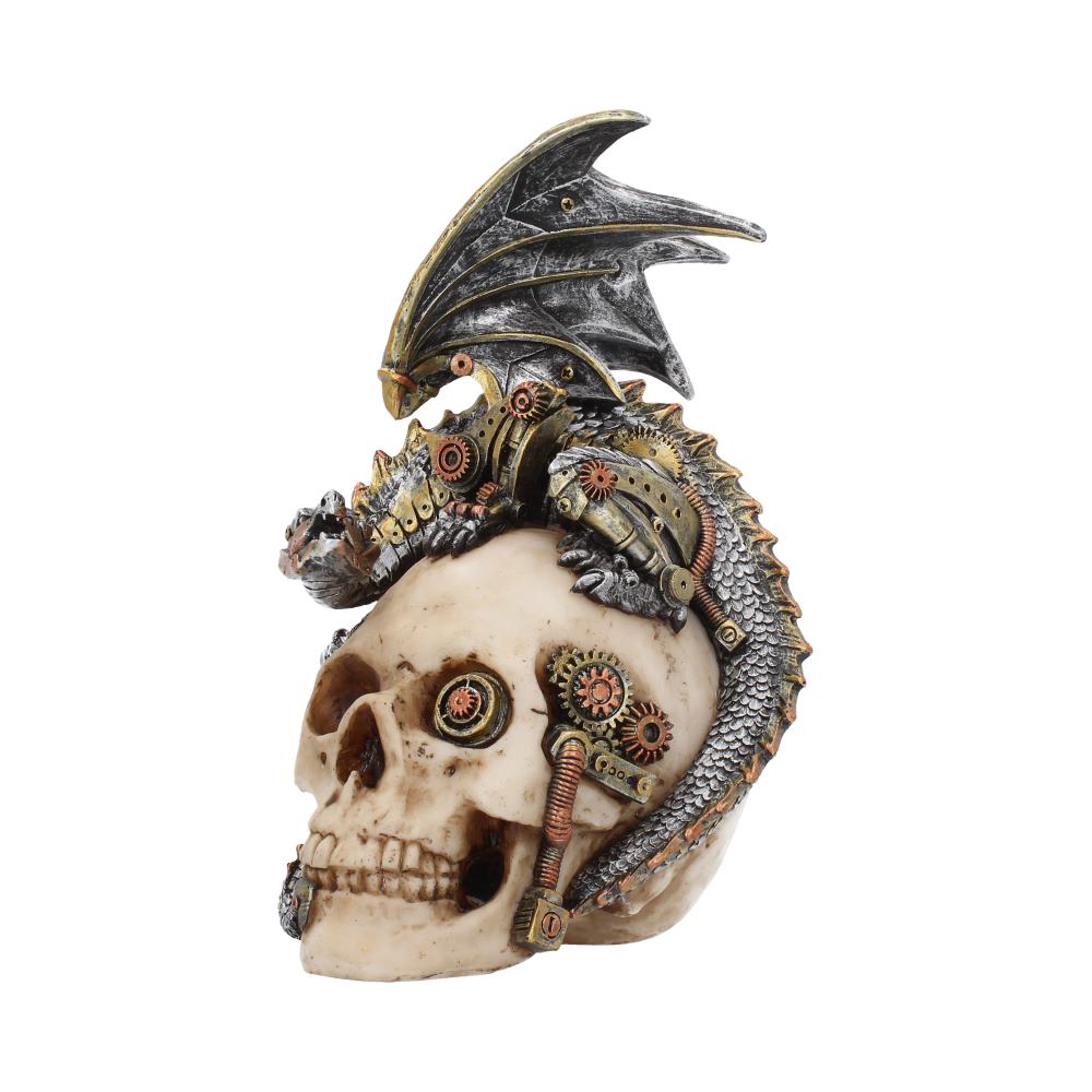 Steel Wing Steampunk Dragon Skull 21cm 1