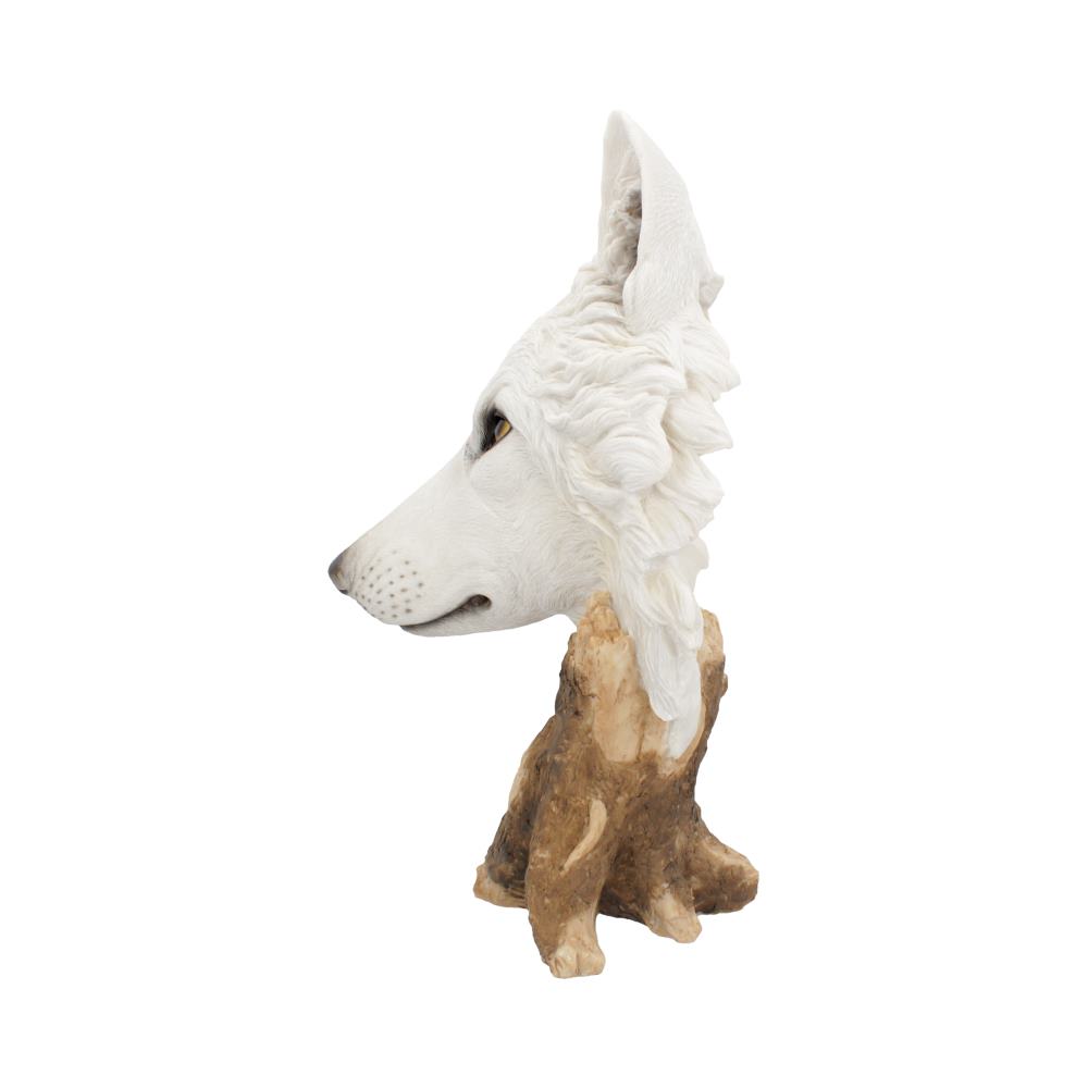 Wild Winter White Wolf Bust 27.5cm 2