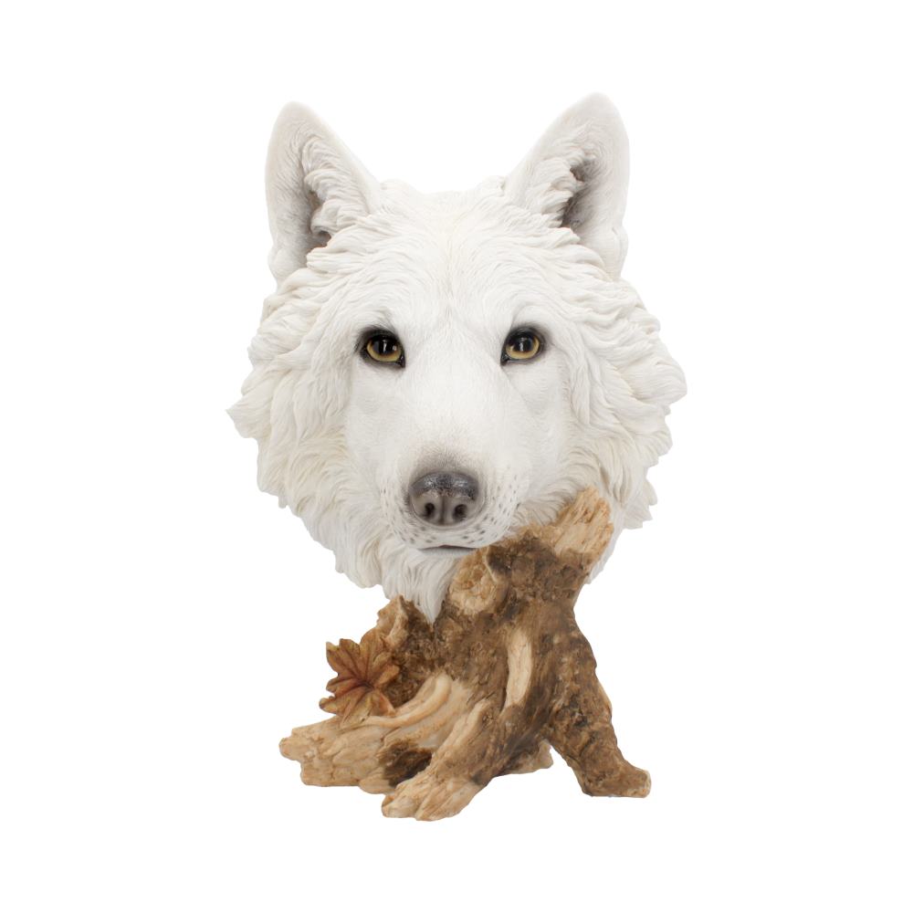 Wild Winter White Wolf Bust 27.5cm 1