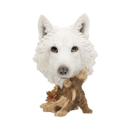 Wild Winter White Wolf Bust 27.5cm 1