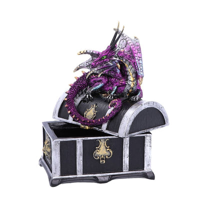 Reptilian Riches Dragon Sitting on a Treasure Chest Storage Box 15cm 5