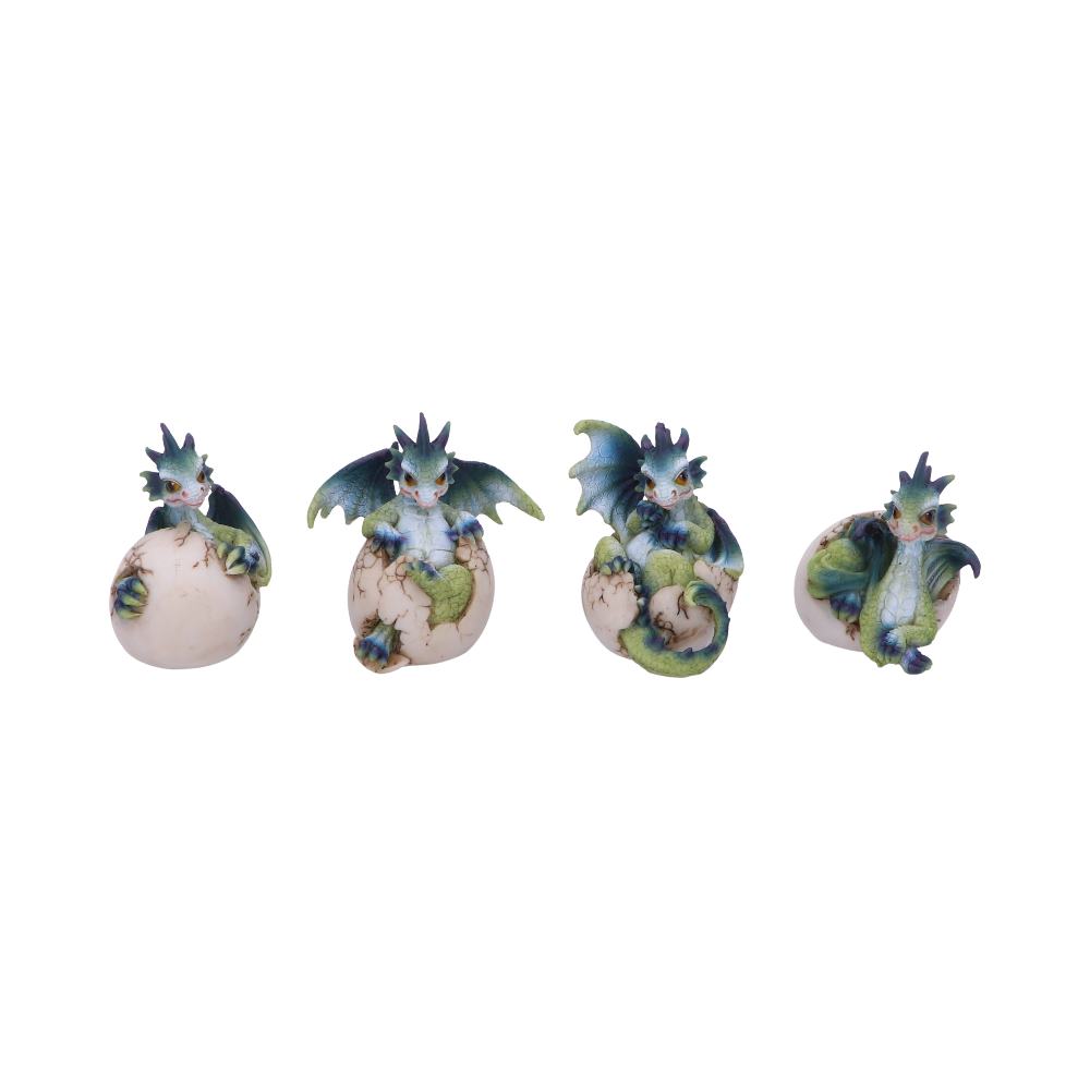 Set of Four Hatchlings Emergence Dragonling Hatching from Egg Figurine 8cm 1
