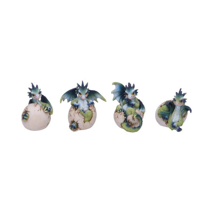 Set of Four Hatchlings Emergence Dragonling Hatching from Egg Figurine 8cm 1