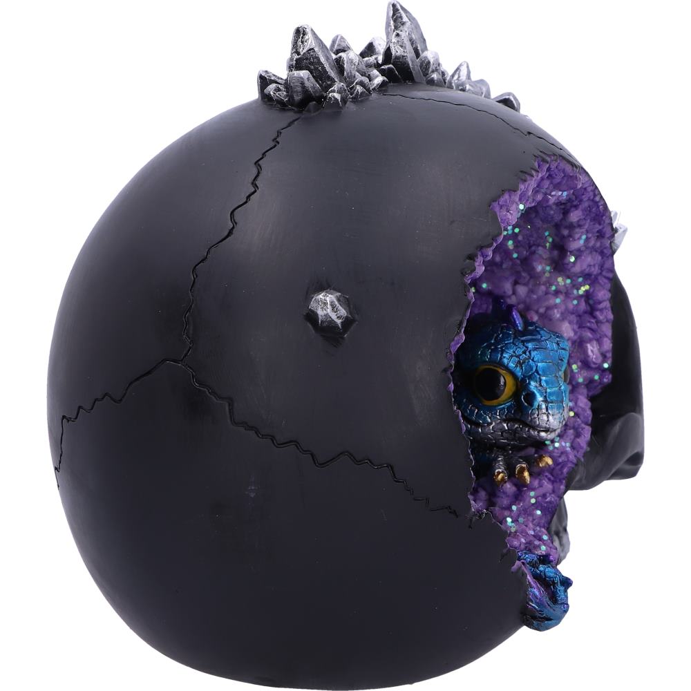 Crystal Cave Small Dragon Hiding within a Skull 16.5cm 5