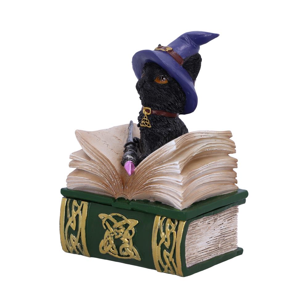 Binx Small Witches Familiar Black Cat and Spellbook Figurine Box 11cm Hocus Pocus Feline 2