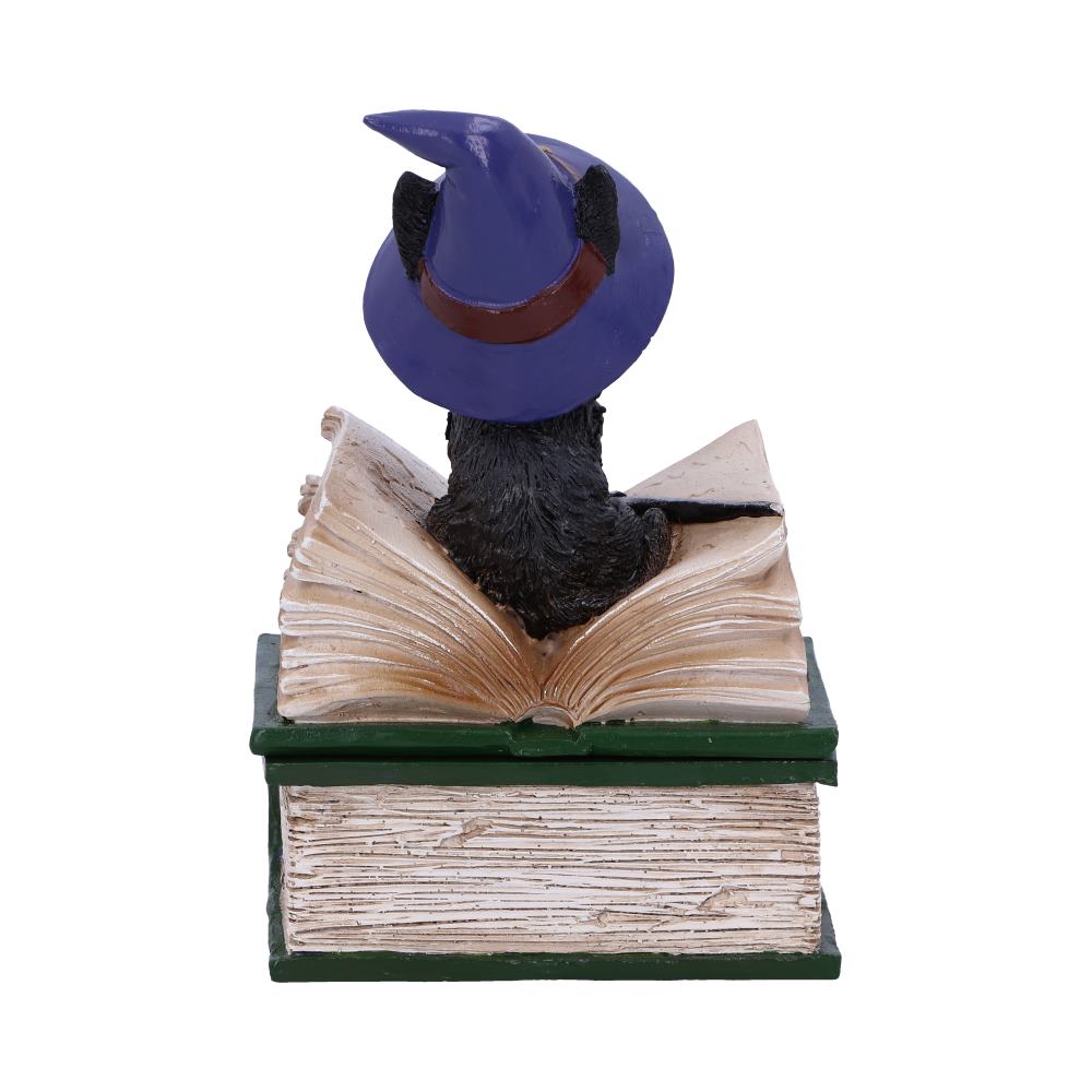 Binx Small Witches Familiar Black Cat and Spellbook Figurine Box 11cm Hocus Pocus Feline 4