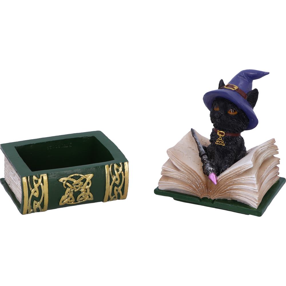 Binx Small Witches Familiar Black Cat and Spellbook Figurine Box 11cm Hocus Pocus Feline 6