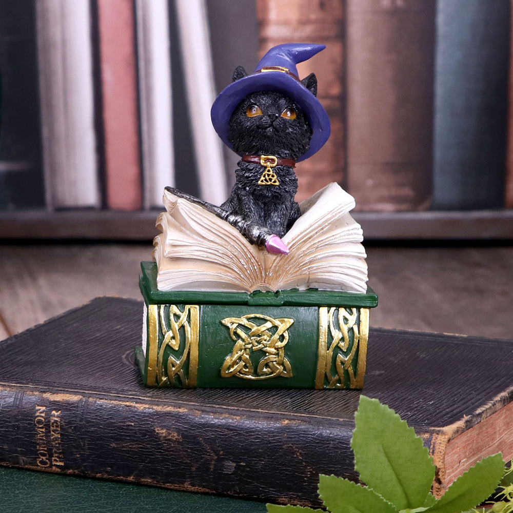 Binx Small Witches Familiar Black Cat and Spellbook Figurine Box 11cm Hocus Pocus Feline 7