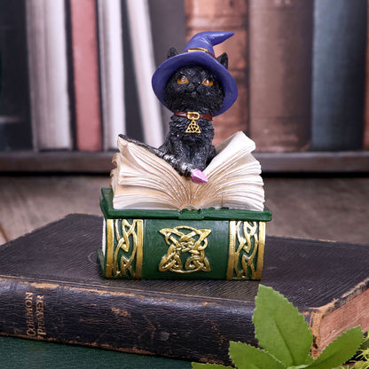 Binx Small Witches Familiar Black Cat and Spellbook Figurine Box 11cm Hocus Pocus Feline 7