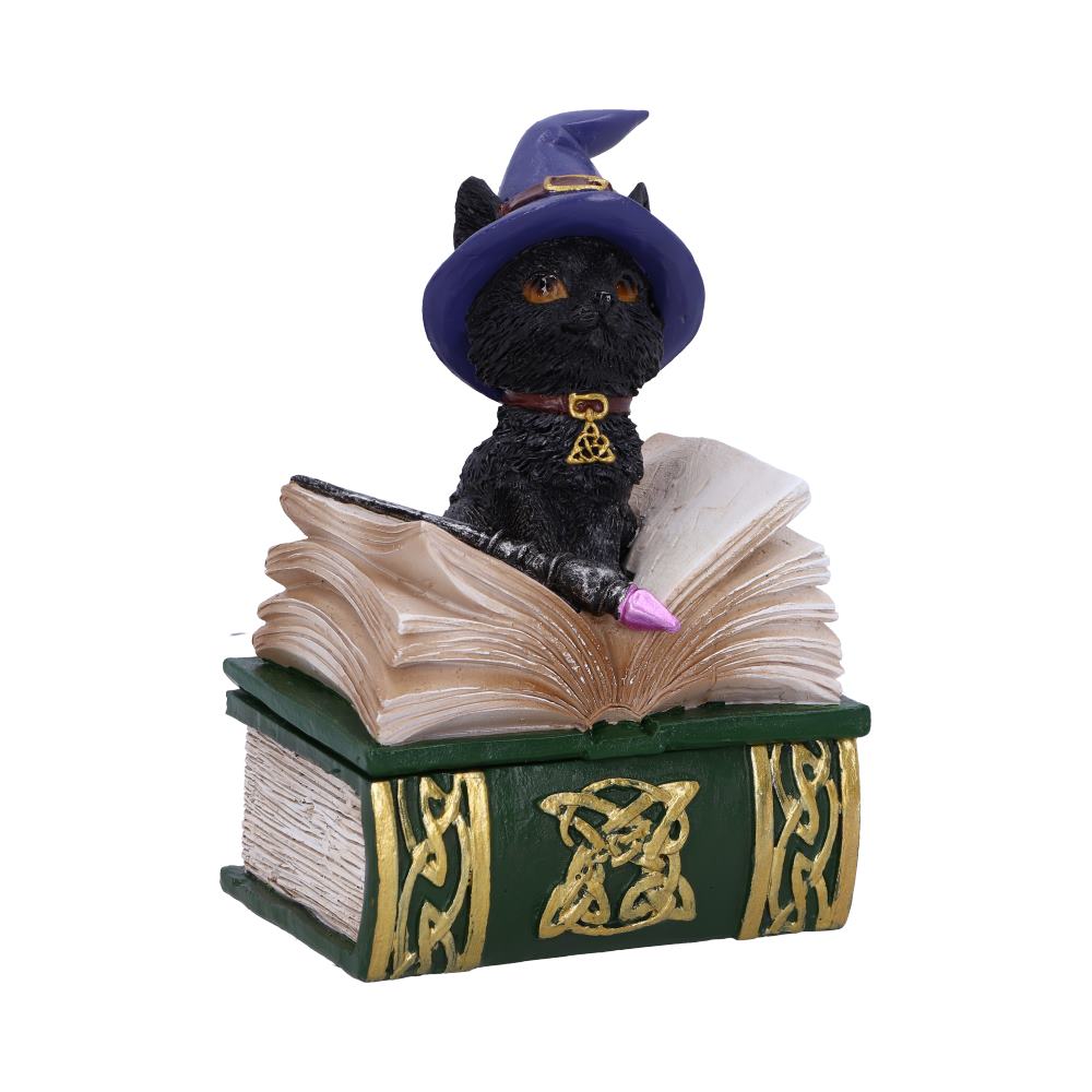 Binx Small Witches Familiar Black Cat and Spellbook Figurine Box 11cm Hocus Pocus Feline 1