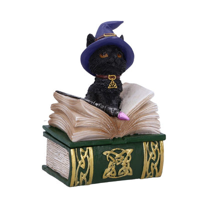Binx Small Witches Familiar Black Cat and Spellbook Figurine Box 11cm Hocus Pocus Feline 1