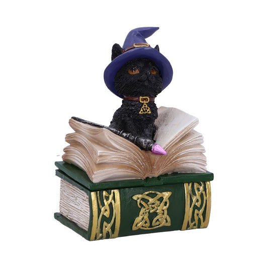 Binx Small Witches Familiar Black Cat and Spellbook Figurine Box 11cm Hocus Pocus Feline 1