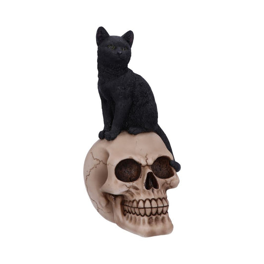 Familiar Fate Black Witches Cat and Skull Figurine 24.3cm 1
