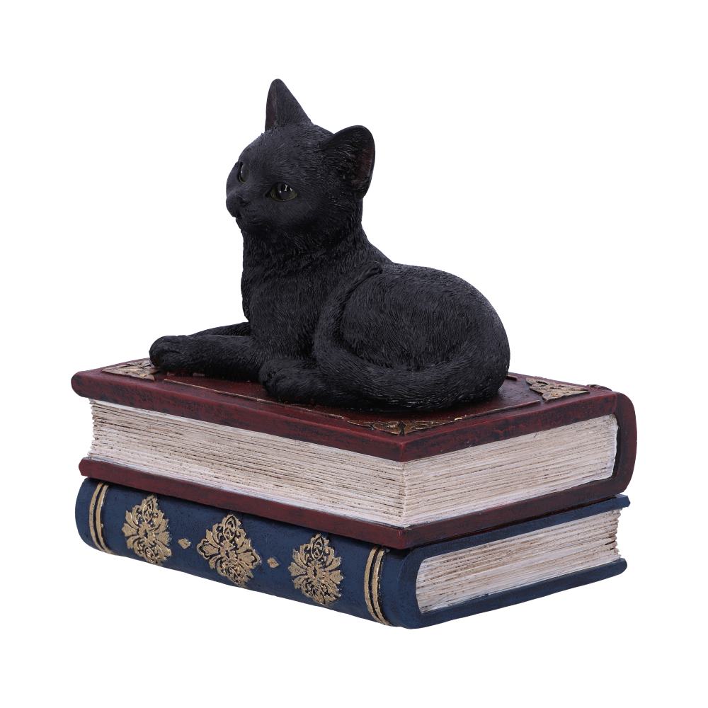 Salems Spells Witches Familiar Black Cat and Spellbook Box 11.7cm 2